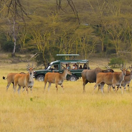 Lake Elmenteita Serena Camp Zewnętrze zdjęcie