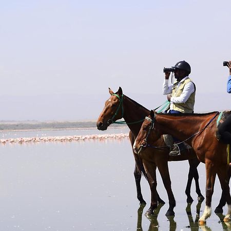 Lake Elmenteita Serena Camp Zewnętrze zdjęcie