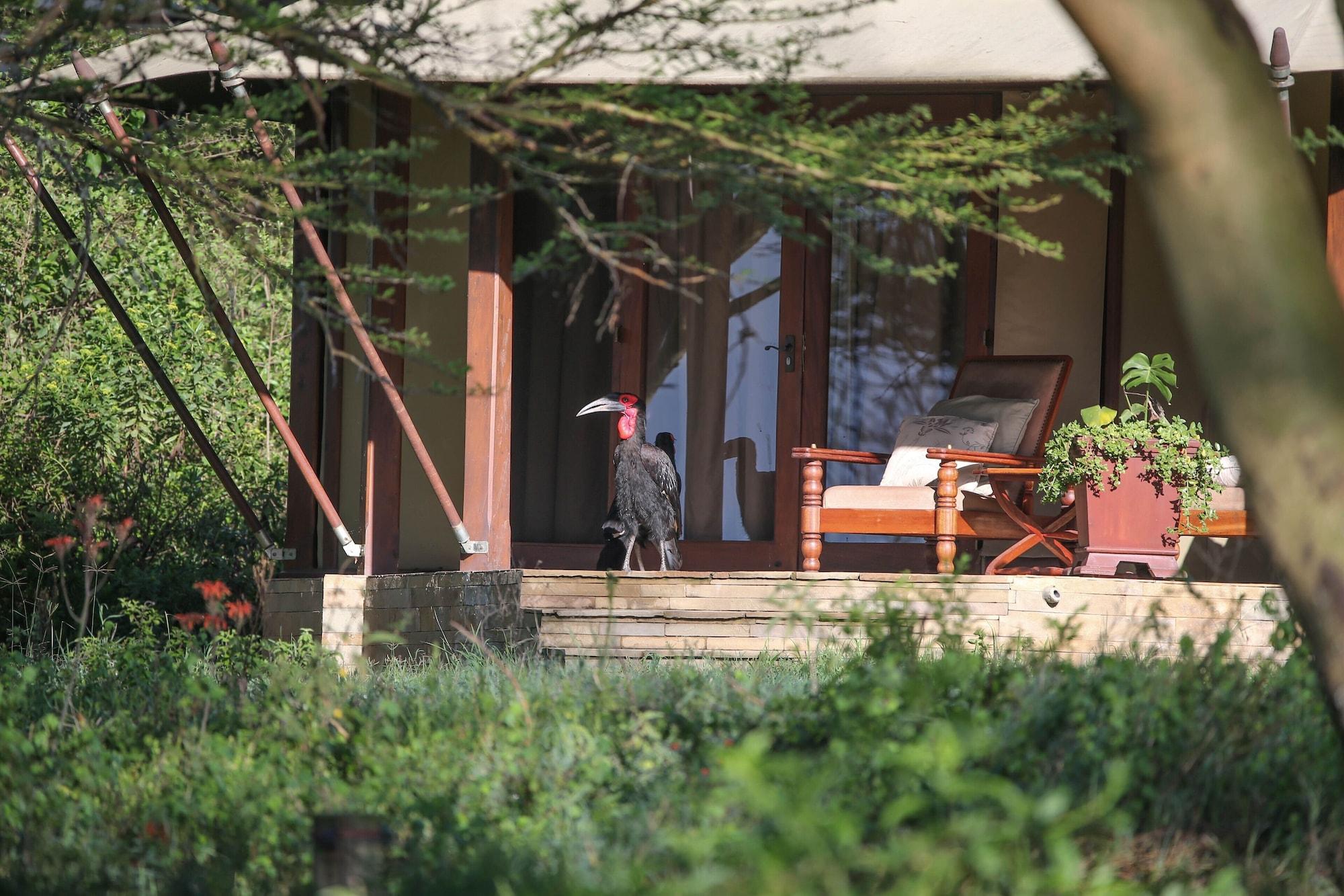 Lake Elmenteita Serena Camp Zewnętrze zdjęcie