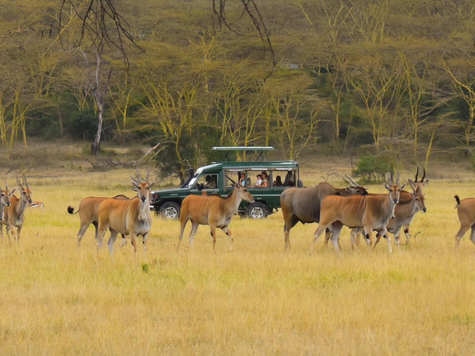Lake Elmenteita Serena Camp Zewnętrze zdjęcie