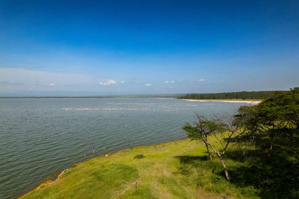 Lake Elmenteita Serena Camp Zewnętrze zdjęcie
