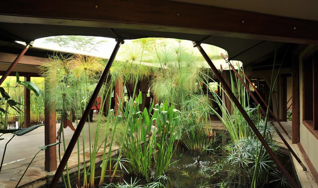 Lake Elmenteita Serena Camp Zewnętrze zdjęcie